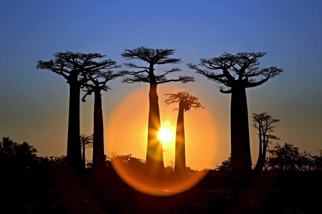 Sol - Autor Pilar Julia - Foto realizada en Madagascar