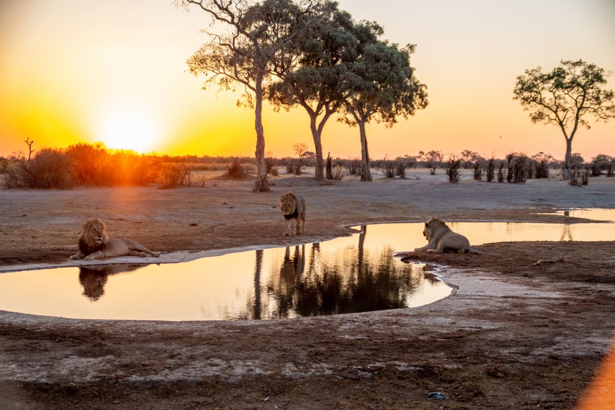 Delta del Okavango, Chobe y Cataratas Victoria