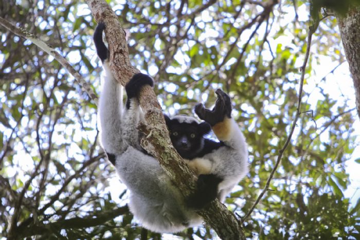 Viaje a Madagascar | Javier Pulido