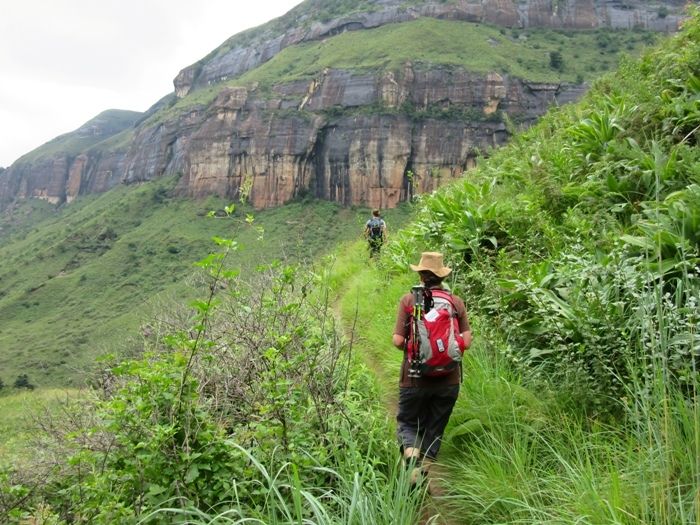 Viaje a Sudáfrica | Autor Bruce Taylor