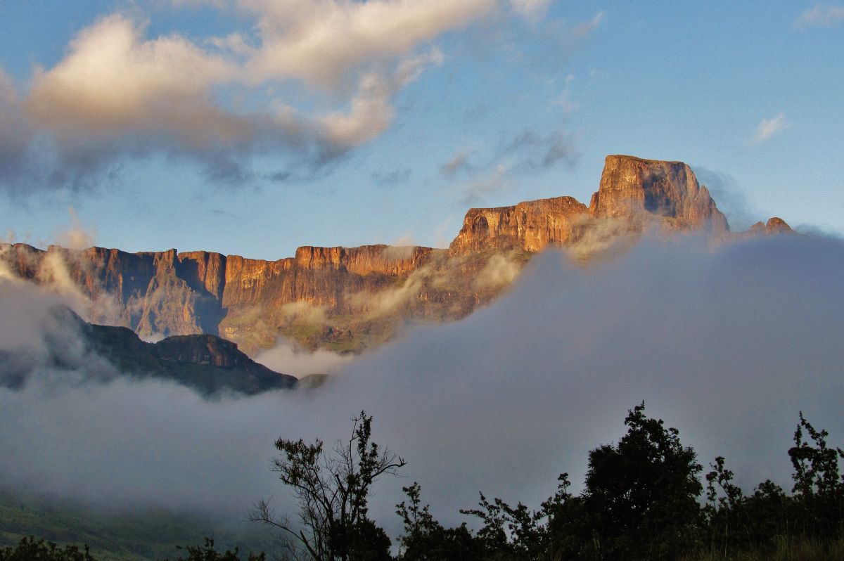 Viaje a Sudáfrica | Autor Bruce Taylor