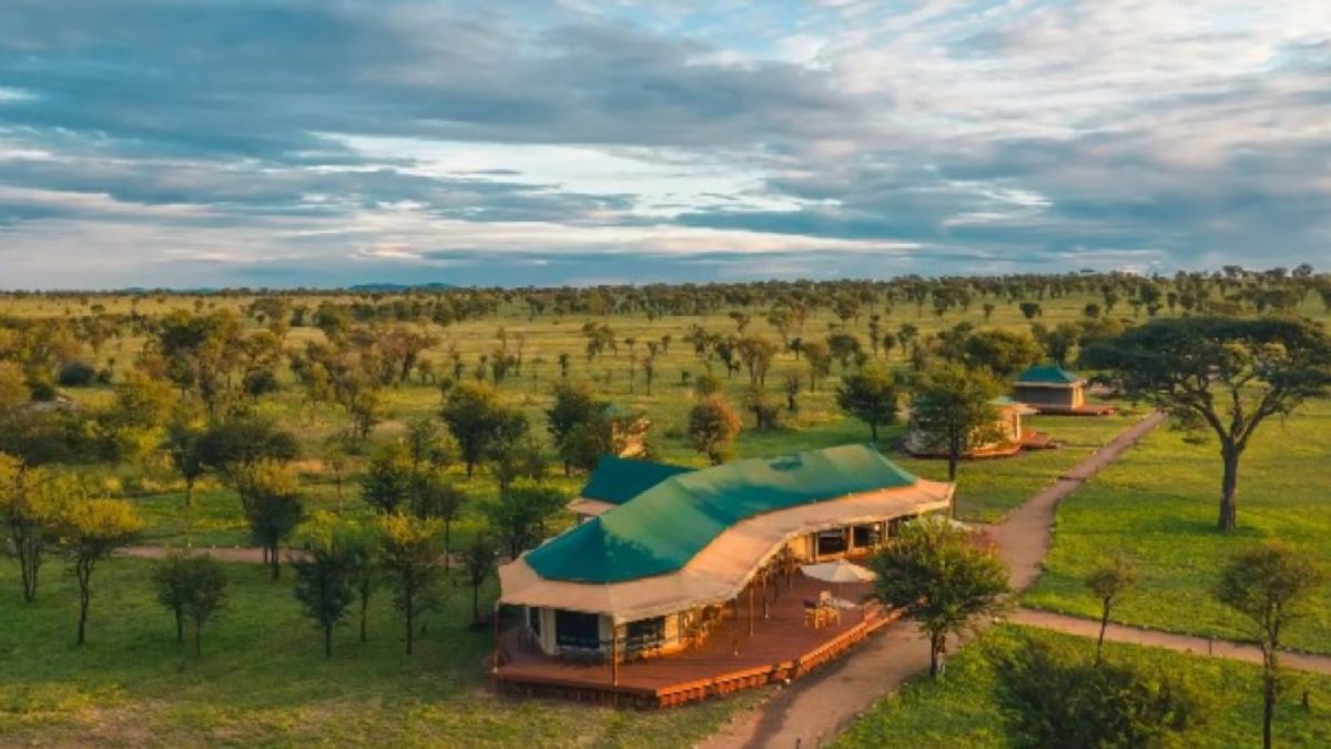 Gran Migración en Tanzania entre Ndutu y Serengeti