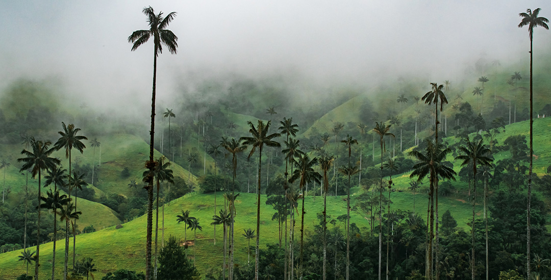 10 motivos hermosos para viajar a Colombia