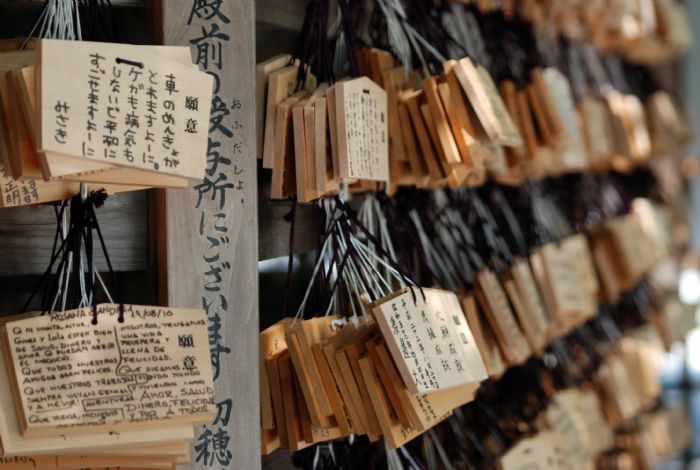 Viaje a Japón en febrero con Asaki-san