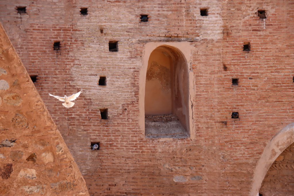 Marrakech, Marruecos © Paula Ros