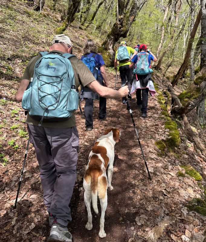 Barcelona La Bota Del Raco Restaurante Tarjeta Comercial