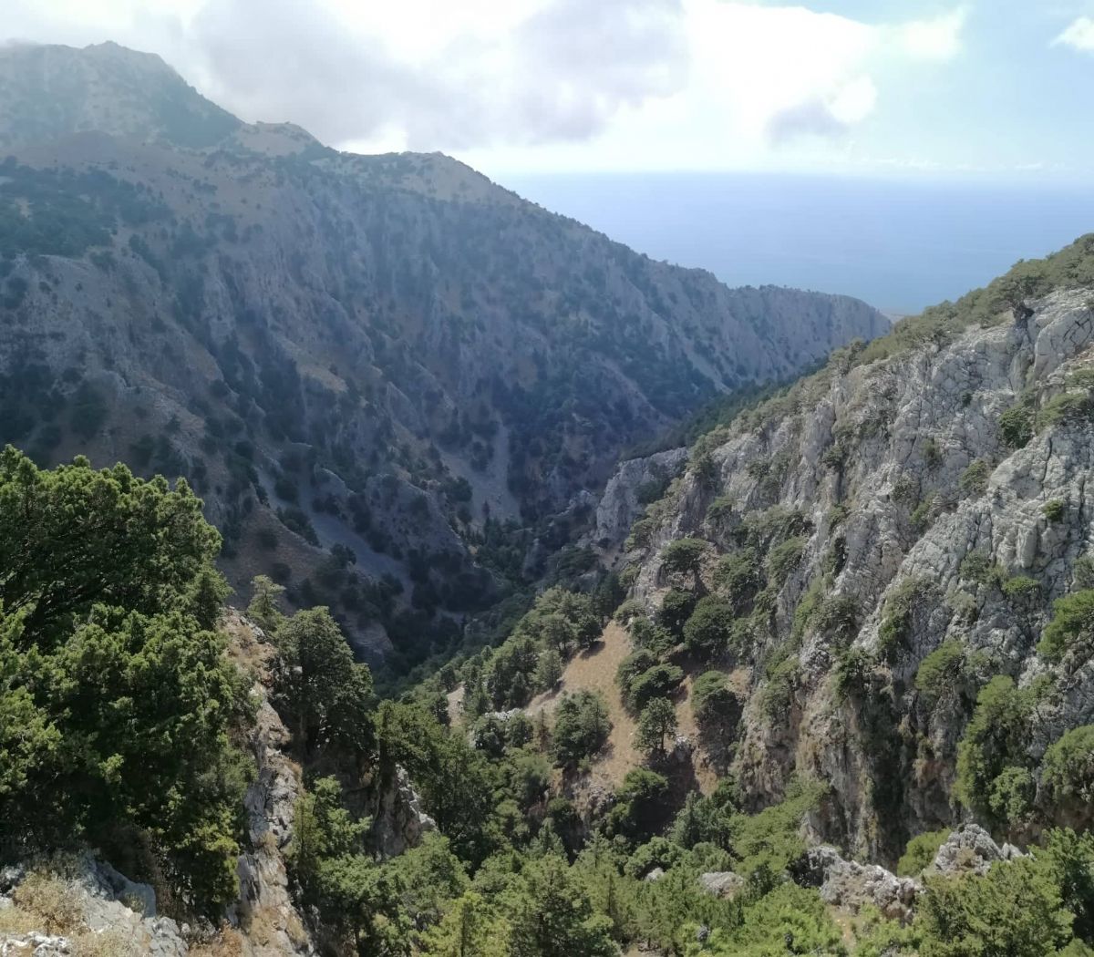 Creta, explorando la isla del Minotauro | Mirsini