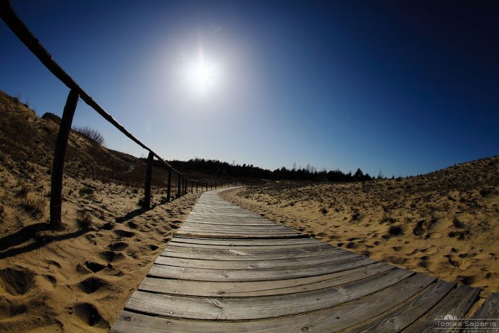 Caminatas por Europa en Junio | Tomas Saparis