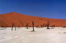 NAMIBIA. Desierto del Namib, Etosha y País Himba