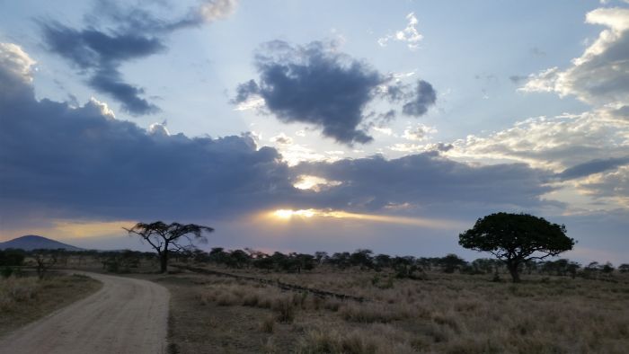 Tanzania | Anna Centellas Tanzania | Anna Centellas