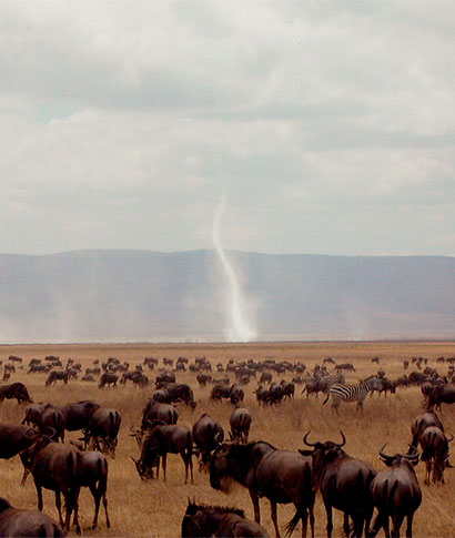 Gran migración en Tanzania | Autor foto: Yolanda Verges