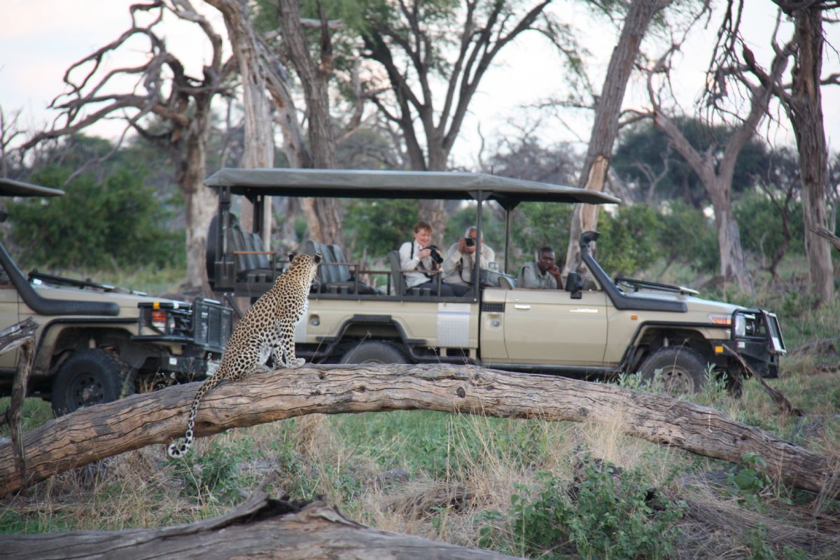 fotos de Botswana autor:Sunway Safaris