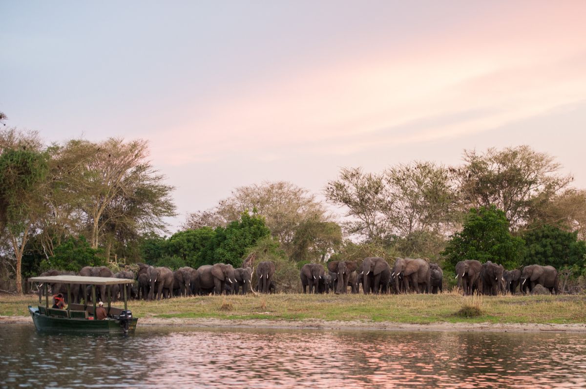 fotos de Zambia autor:Sunway Safaris