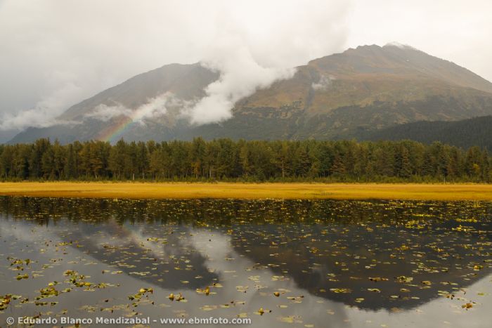 fotos de Alaska autor:Eduardo Blanco