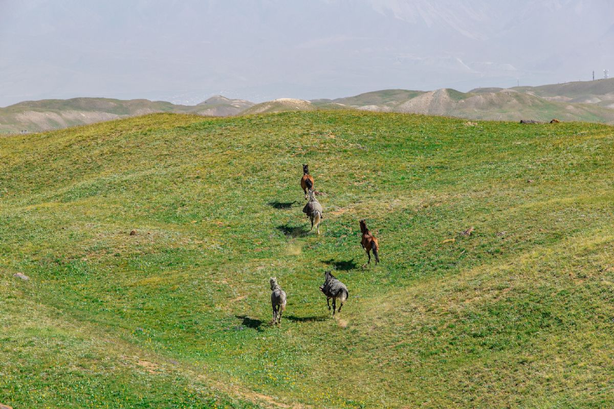 Trekking Kirguistán autor: Juan M Truchuelo