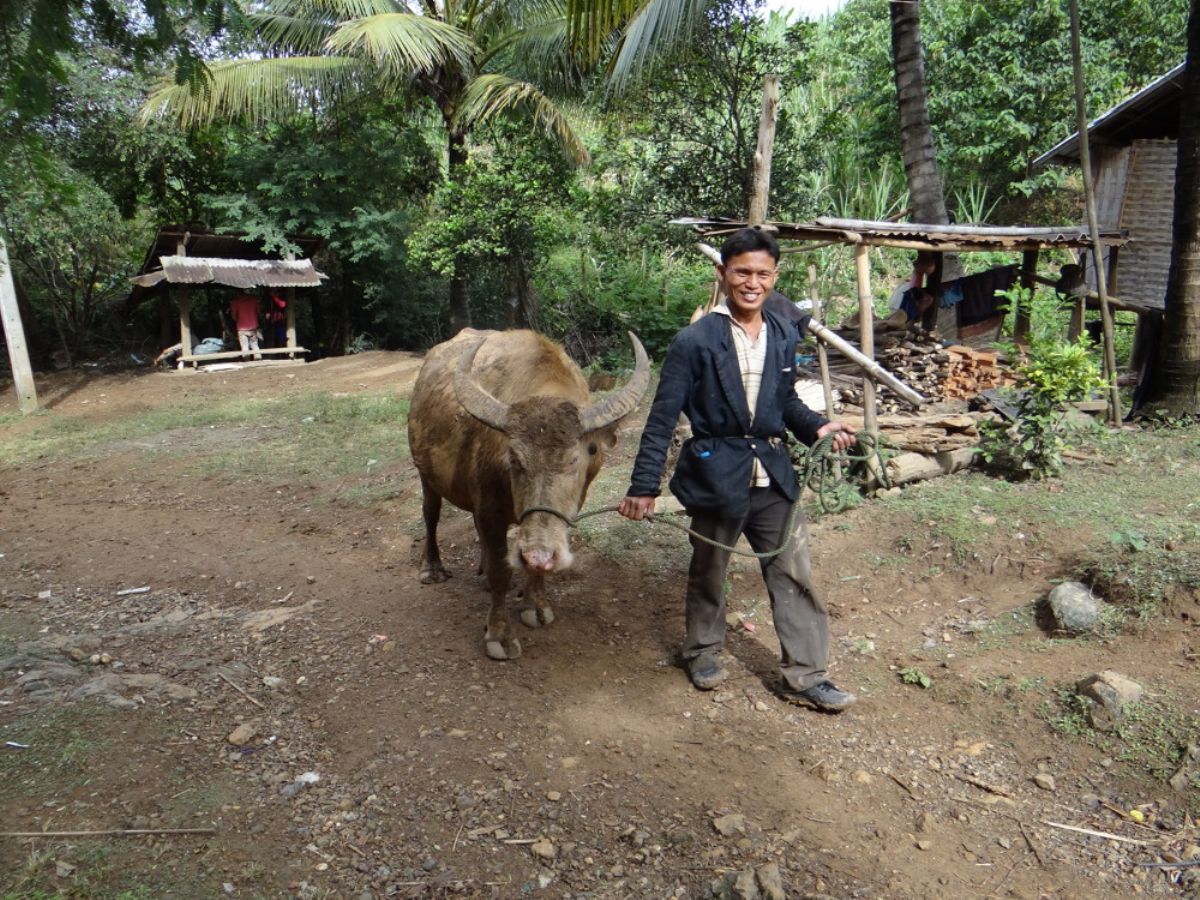 fotos de Laos  autor:Pere Mongay