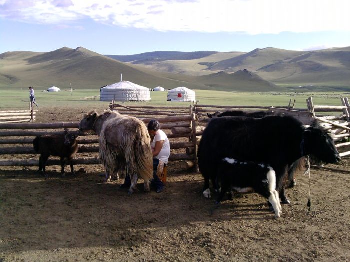 fotos de Mongolia autor:Jordi Font