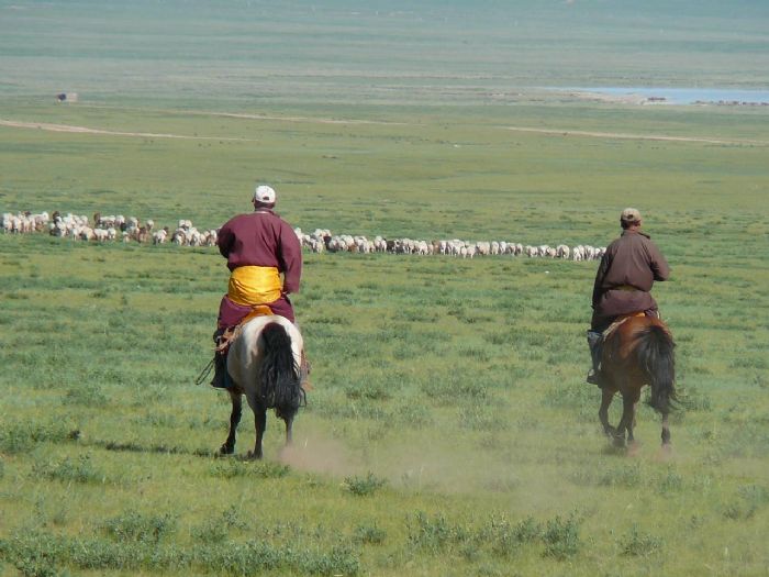 fotos de Mongolia autor:Jose M. Garcia Aguilar