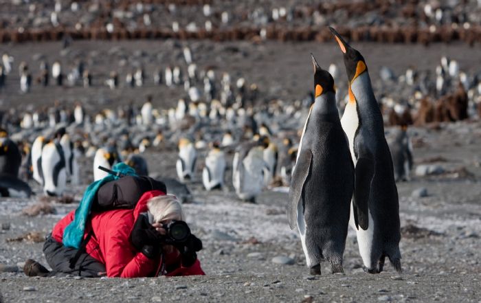 fotos de Antártida autor:J.Veen
