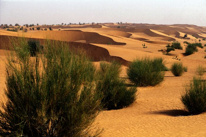 fotos de Viajes por 1000 euros en octubre autor:Archivo Tuareg