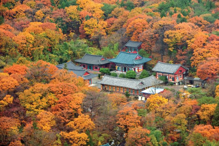 Corea del Sur entre la tradición y la modernidad