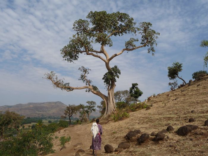fotos de Etiopia Ruta histórica. Las ciudades del norte. autor:Benito Pousada