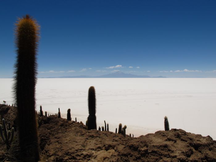 fotos del viaje a Brasil, Bolivia y Chile Del Pantanal del Mato Grosso al altiplano andino autor:Petra Gento