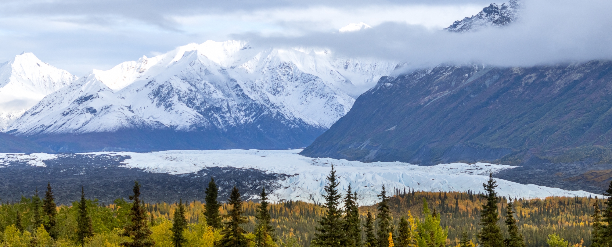 Alaska-Ruta Kenai N.P. y extensión opcional a Denali N.P.