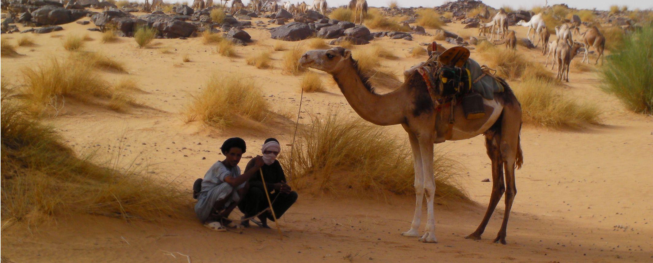 Mauritania | Autor Mónica Saez