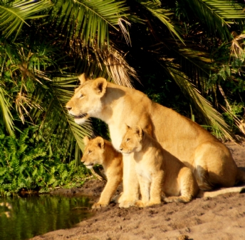 Tanzania