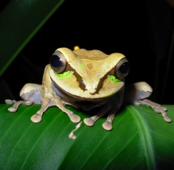 Costa Rica