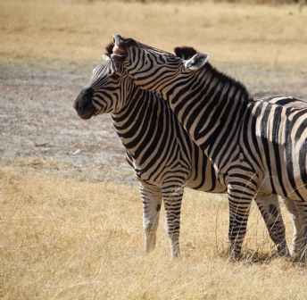 Botswana