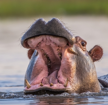 Botswana