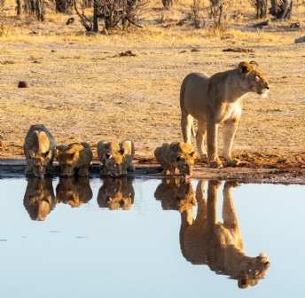 Botswana