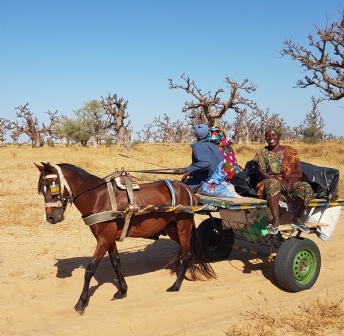 Senegal
