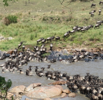Tanzania