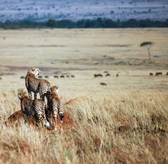 Kenya