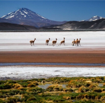 Argentina, Bolivia, Chile