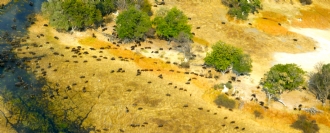 Namibia - Botswana - Victoria Falls