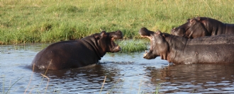 Namibia, Botswana y Zimbabwe