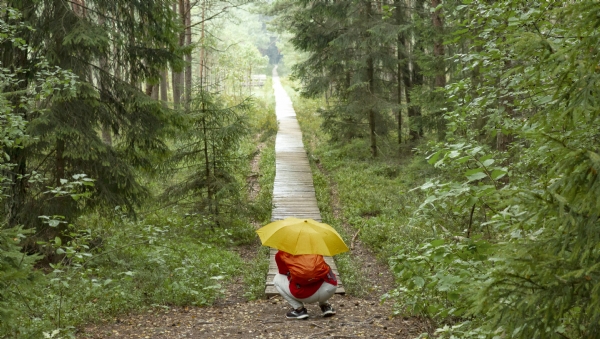 Lituania, Letonia y Estonia