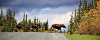 Alaska