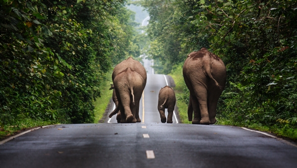 Tailandia