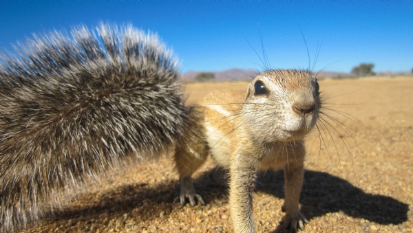 Namibia, Botswana y Zimbabwe