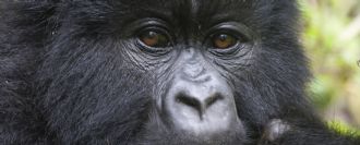 Uganda