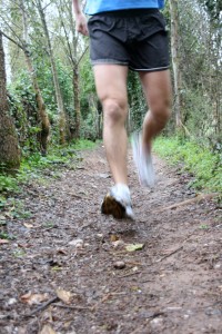 Entrenaments Sables I 511