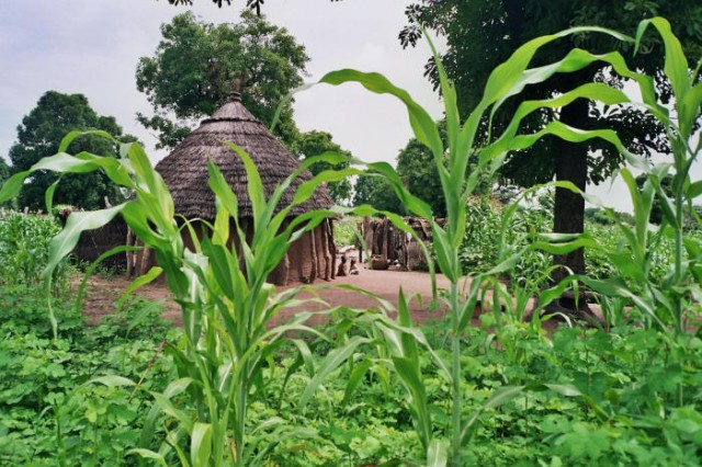 Goundi-07 (13)