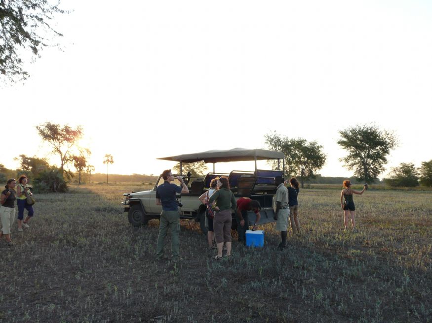 Safari en Mozambique