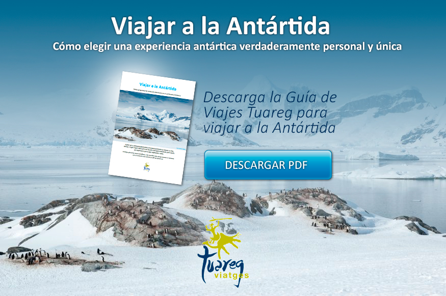 Guia per viatjar a l'Antàrtida - Viatges Tuareg