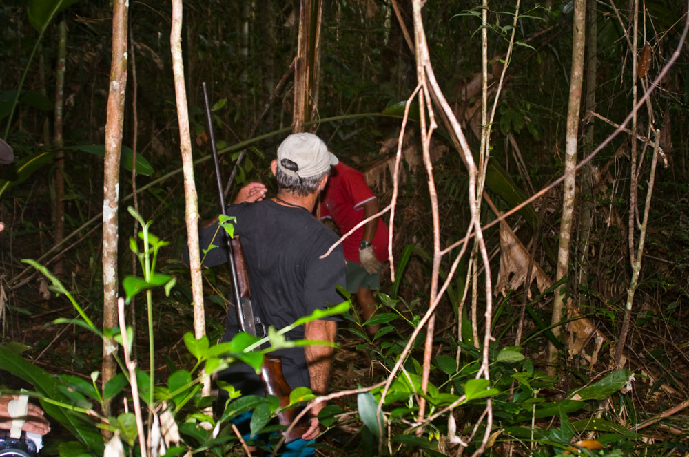 Ens endinsem en la selva amazònica - Foto Ángel Cánovas
